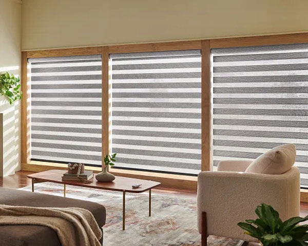 Graber Layered Shades